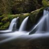Waterfall, River, Forest and Flowing
